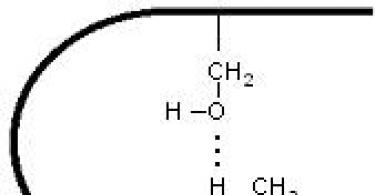 Η δευτερογενής δομή μιας πρωτεΐνης είναι διπλή Η σημασία των δεσμών υδρογόνου στη σταθεροποίηση της δευτερογενούς δομής