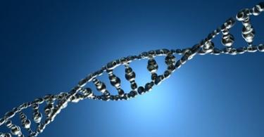 Štruktúra a úrovne organizácie DNA