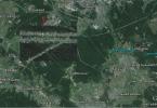 Wiek rosyjskich lasów Tajemnicze polany na powierzchni ziemi