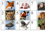 Σταυρόλεξο στα αγγλικά για παιδιά «ζωολογικά ζώα στο ζωολογικό κήπο Σταυρόλεξο στα αγγλικά για τα ζώα