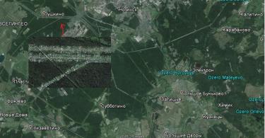 Wiek rosyjskich lasów Tajemnicze polany na powierzchni ziemi
